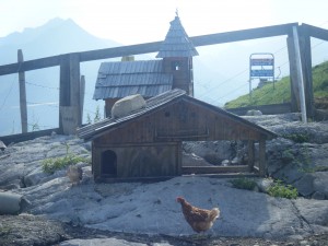 Church's Chicken - or Chicken's Church!