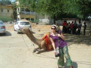 Camels!